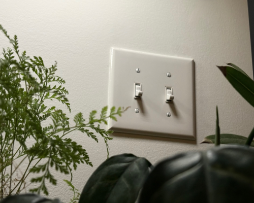 Two light switches on a wall framed by plants