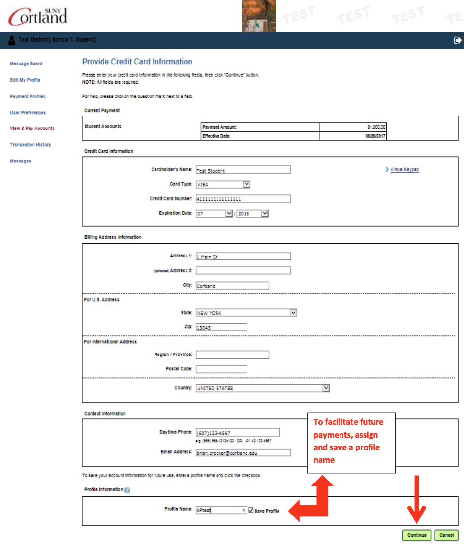 Screenshot of portal with Credit Card information fields and arrows pointing to an option to save the credit card information with a profile name for use in future payments.