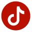 tiktok logo