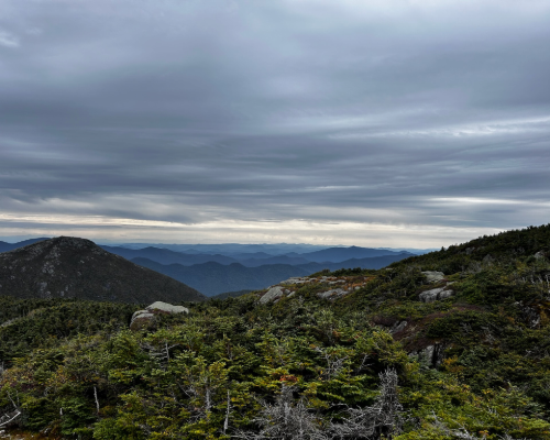 View from a mountain ridge with dense evergreen shrubs in the foreground, rolling mountains in the distance, and an overcast sky with layered clouds.