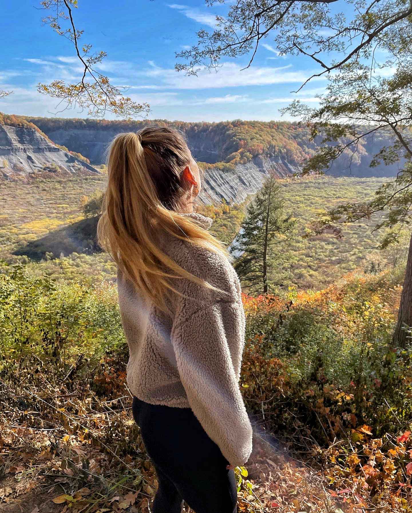 Student looking out at Letchworth State Park