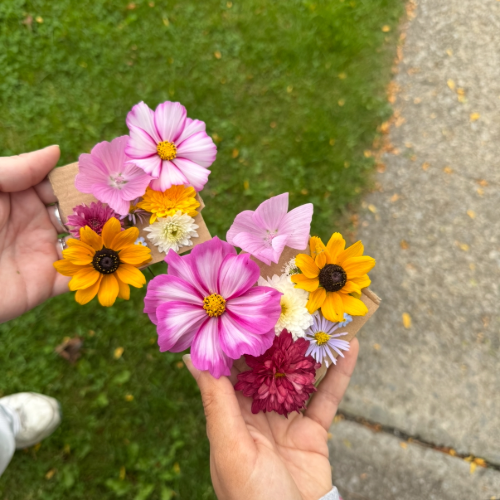 Two people hold a small bouquet of pink, yellow, and white flowers, photographed from above outdoors on grass next to a sidewalk.