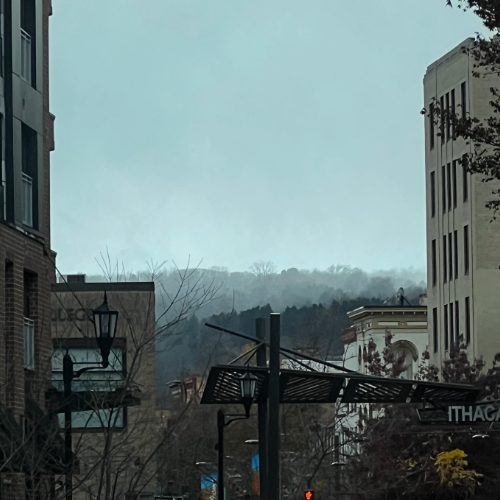 Scene of central New York in winter, without snow