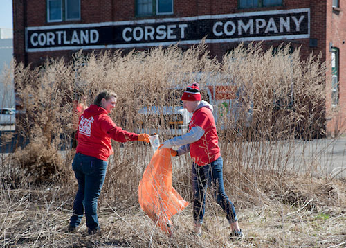 Students cleaning up litter around Cortland during The Big Event volunteering