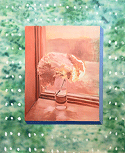 Peonies-2021_Alexander_Clark_WEB.gif