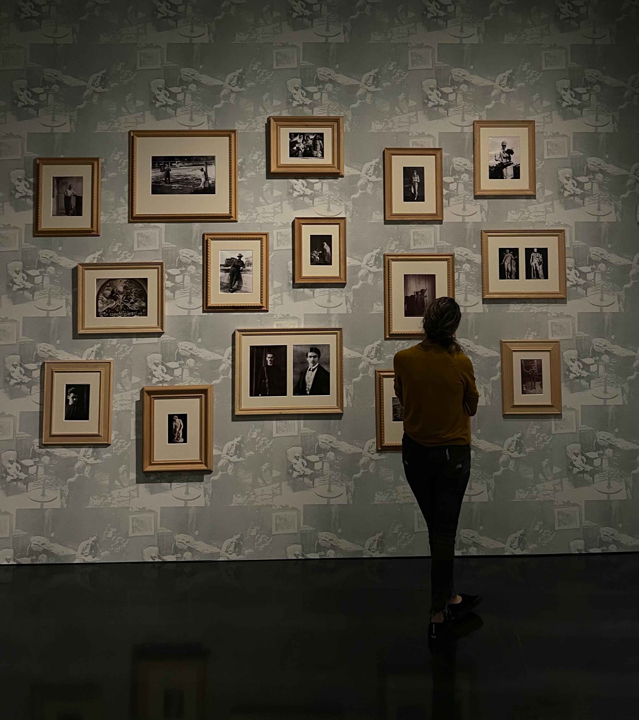 Student viewing portraits on a wall in art gallery
