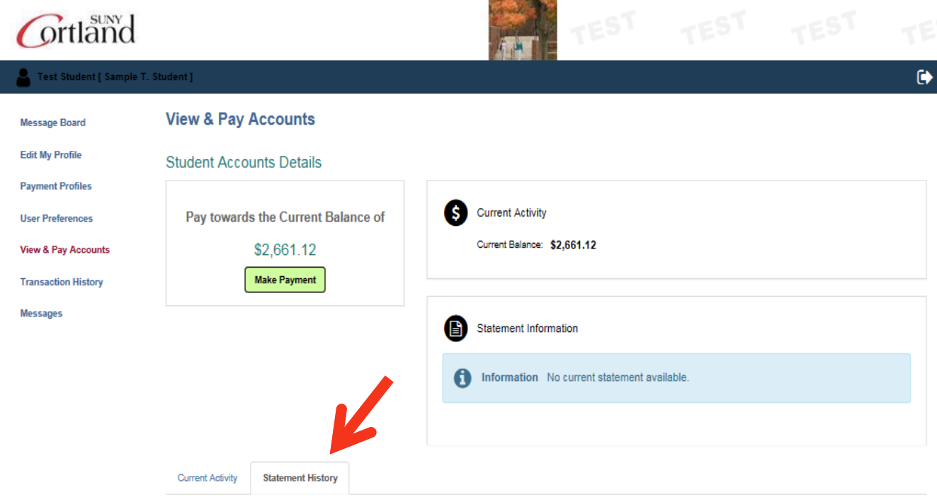 Screenshot of the View & Pay Accounts page with an arrow pointing to the "Statement History" tab