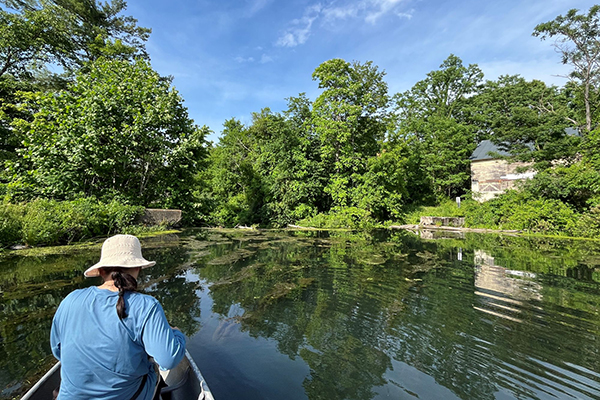 Senior Minju Kim does fieldwork as part of a summer internship.
