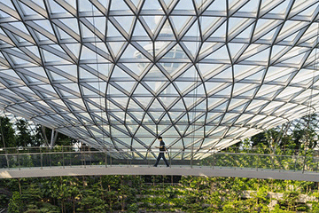 Airport_greenhouse_Image-by-Time-from-Pixabay_WEB.gif