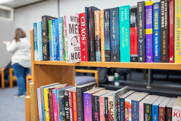 Bookself in Library