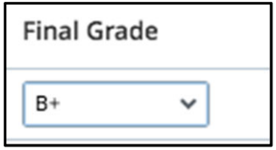 Typing final grade in directly