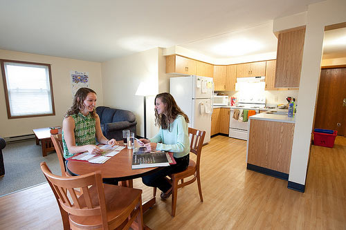 Two graduate students sit together in their dining space