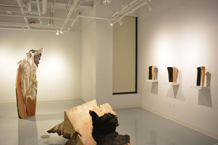 View into the west gallery at Dowd Gallery featuring several sculptural objects produced by Ithaca-based sculptor Jack Elliott.