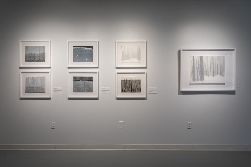 View into the central interior at Dowd Gallery featuring small format drawings and paintings by Binghamton-based artist Natalija Mijatović. Image: Marcus Newton. 