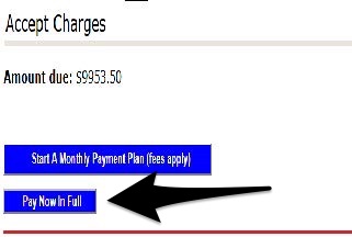 select pay now in full pic