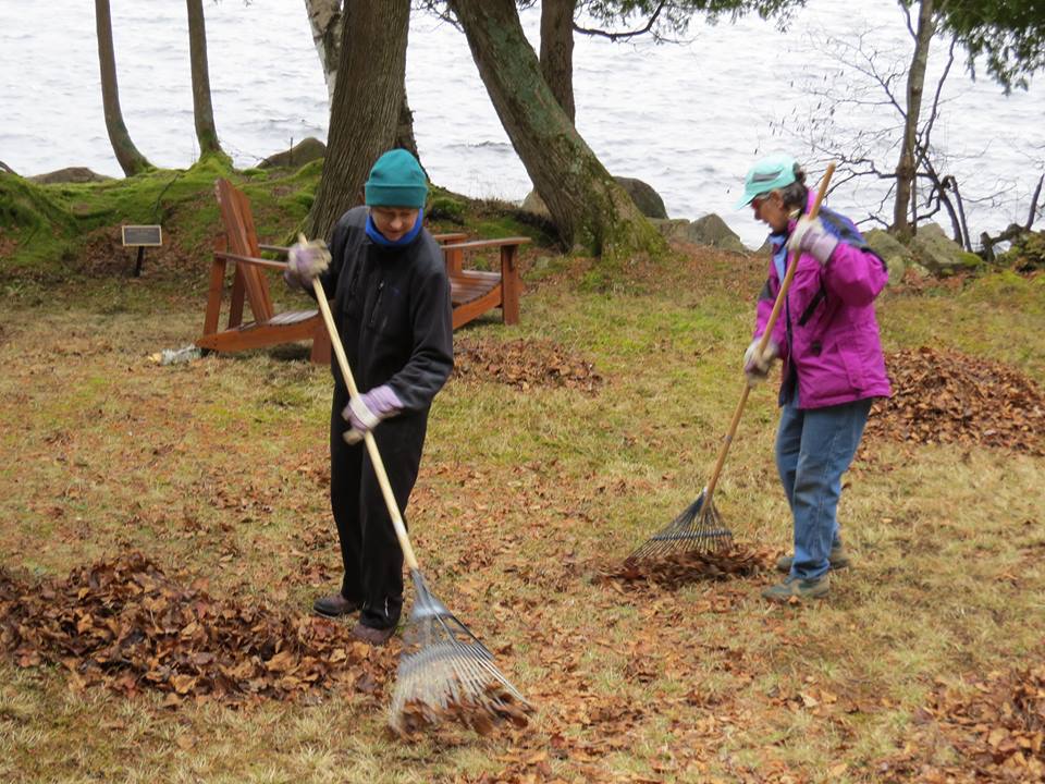 Alumni volunteers raking