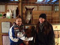 equine-assisted_therapy