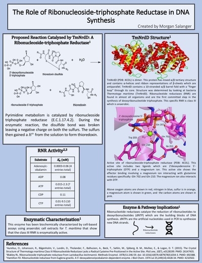 biochemistry examples