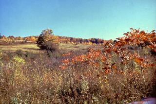 Hoxie Gorge