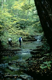 Hoxie Gorge