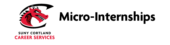 Micro Internships