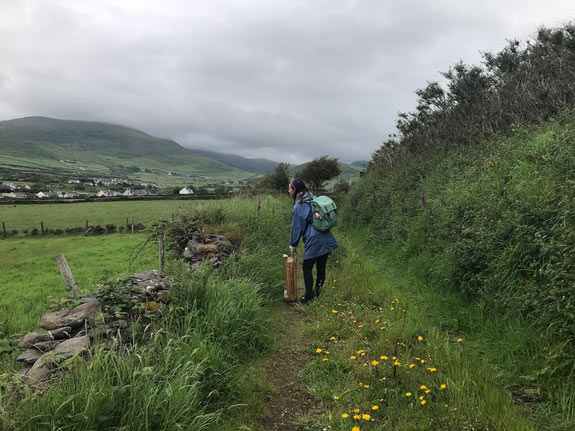 Grassy path in Dingle, Ireland