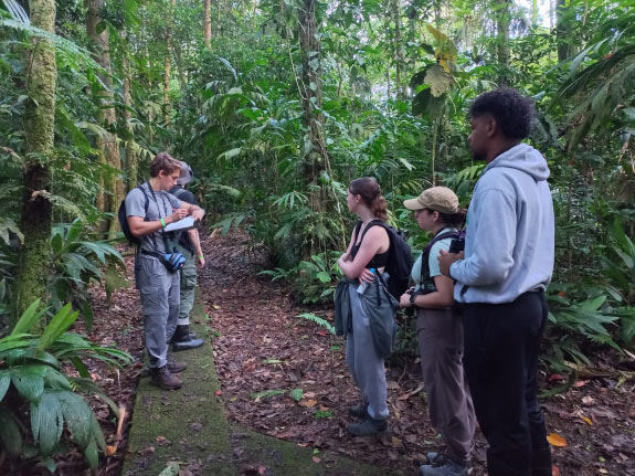 Students doing environmental research in the rain forests of Costa Rica