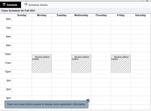Screen Shot of Schedule Grid on the Registration Page